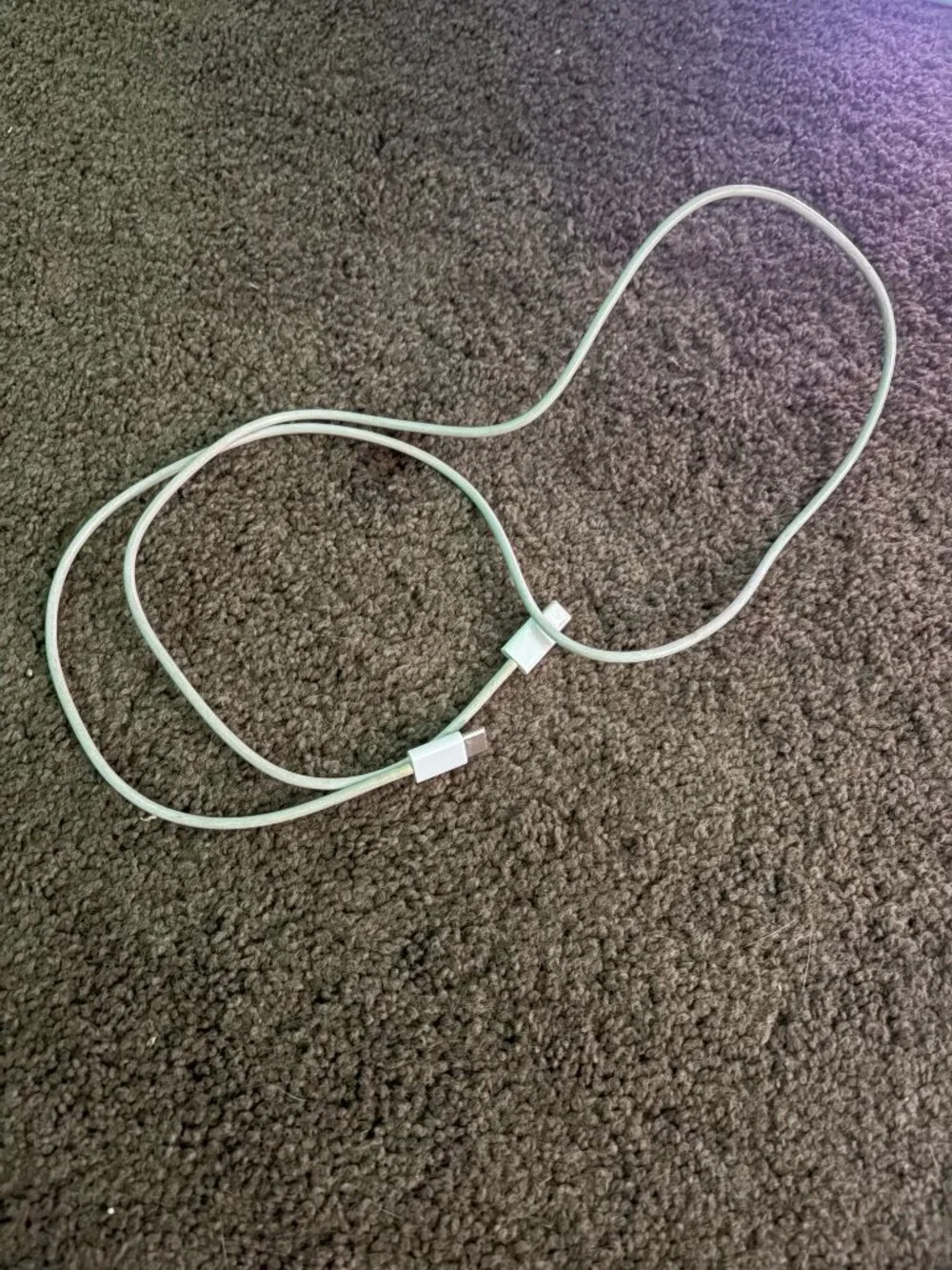 ipad/iphone charger